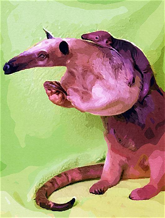 09