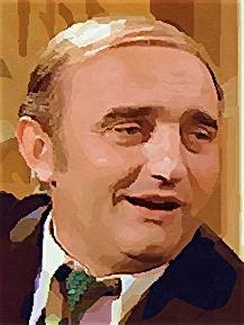 Josef Somr