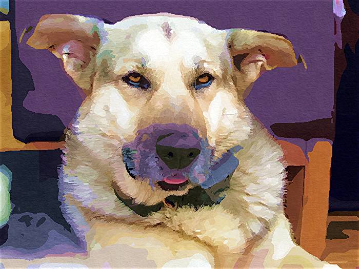 Benny